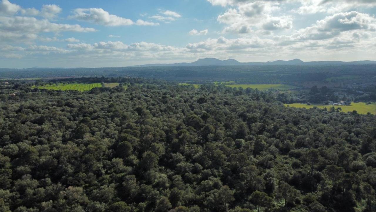 Magnifica Villa Tranquila En El Centro De Mallorca Biniali  Екстериор снимка